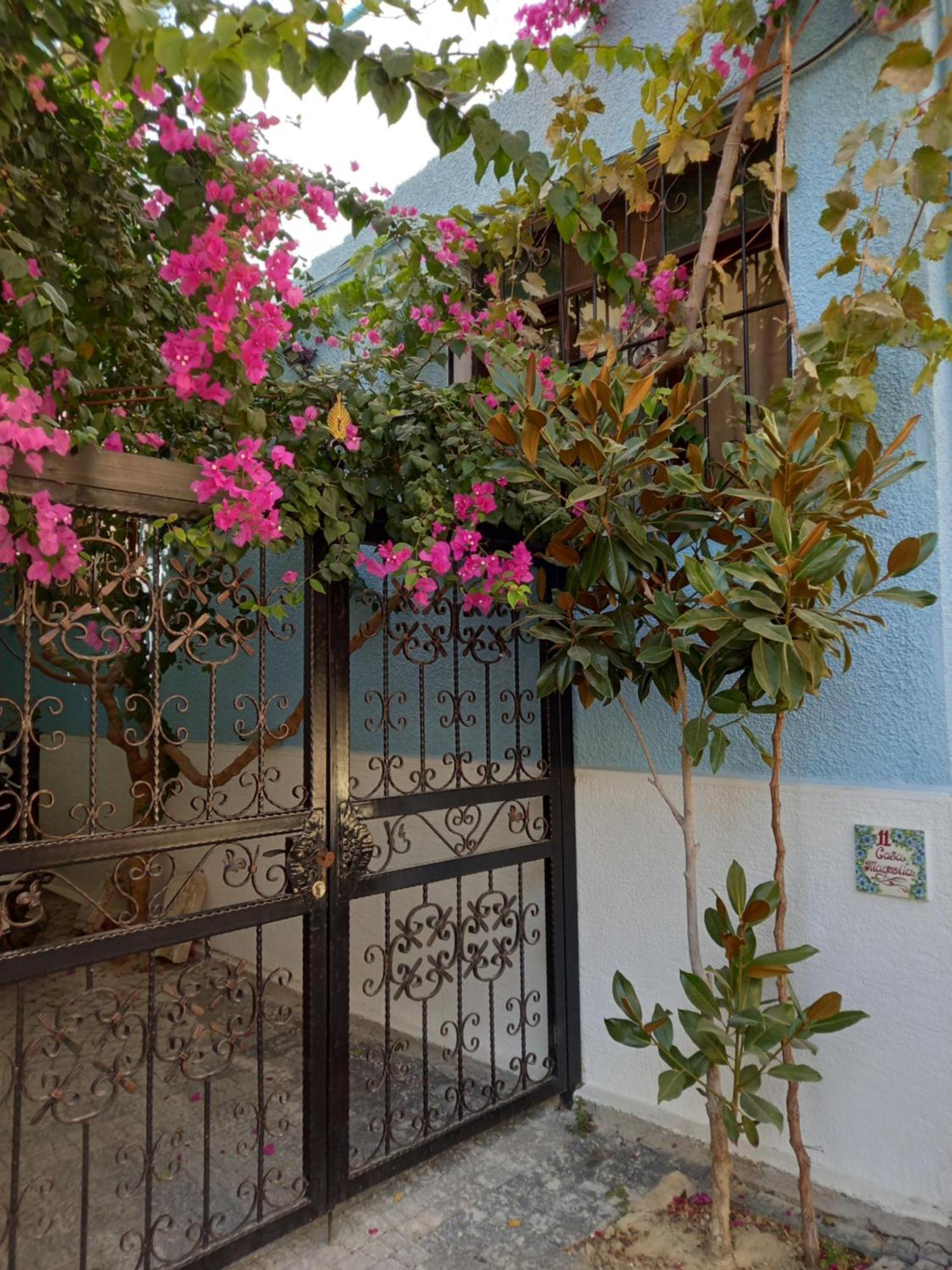 Casa Magnolia Boutique מלון